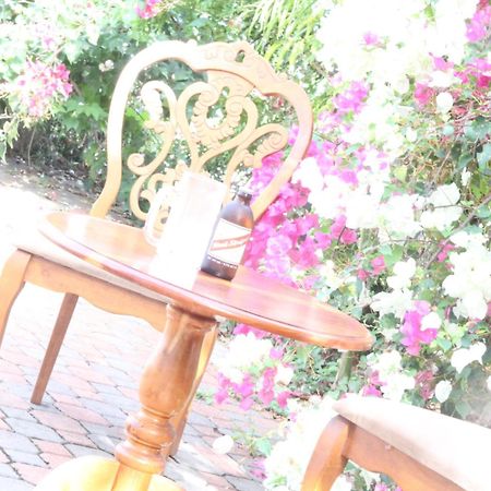 Sweetsop Jamaica Villa And Tours モンテゴ・ベイ エクステリア 写真